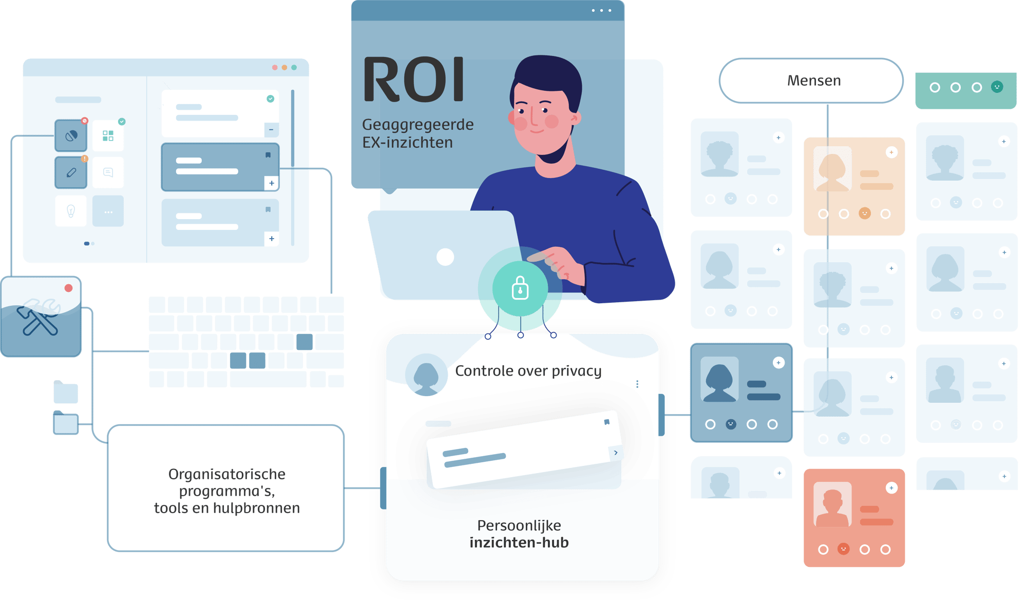 dutch website roi@330x-8