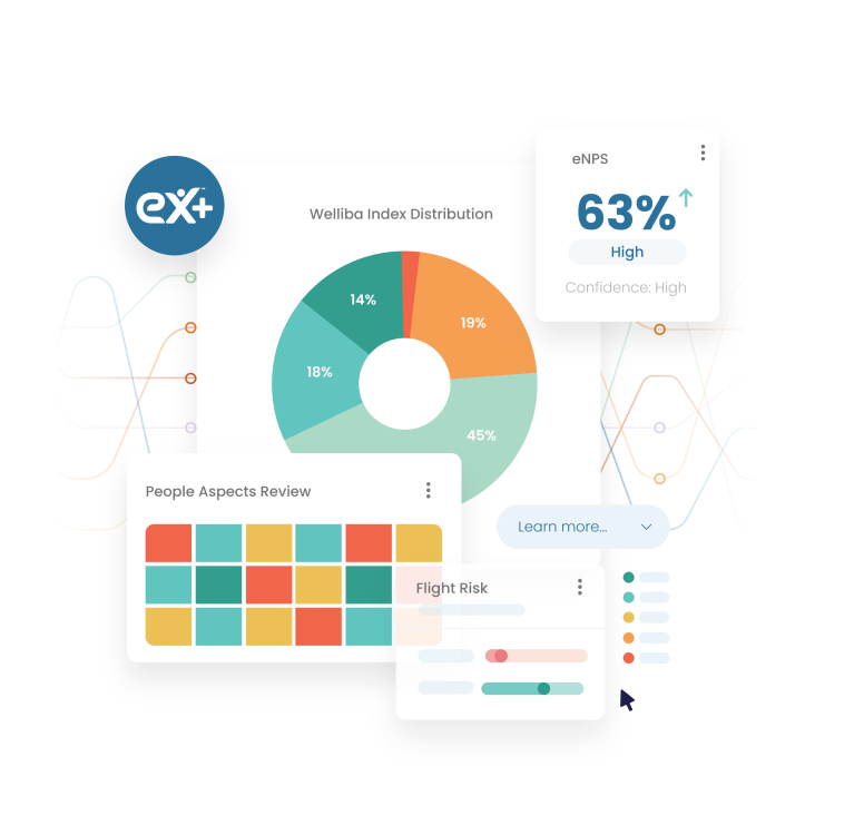 Welliba; Ex+ graphic for employee experience data visualisation dashboard